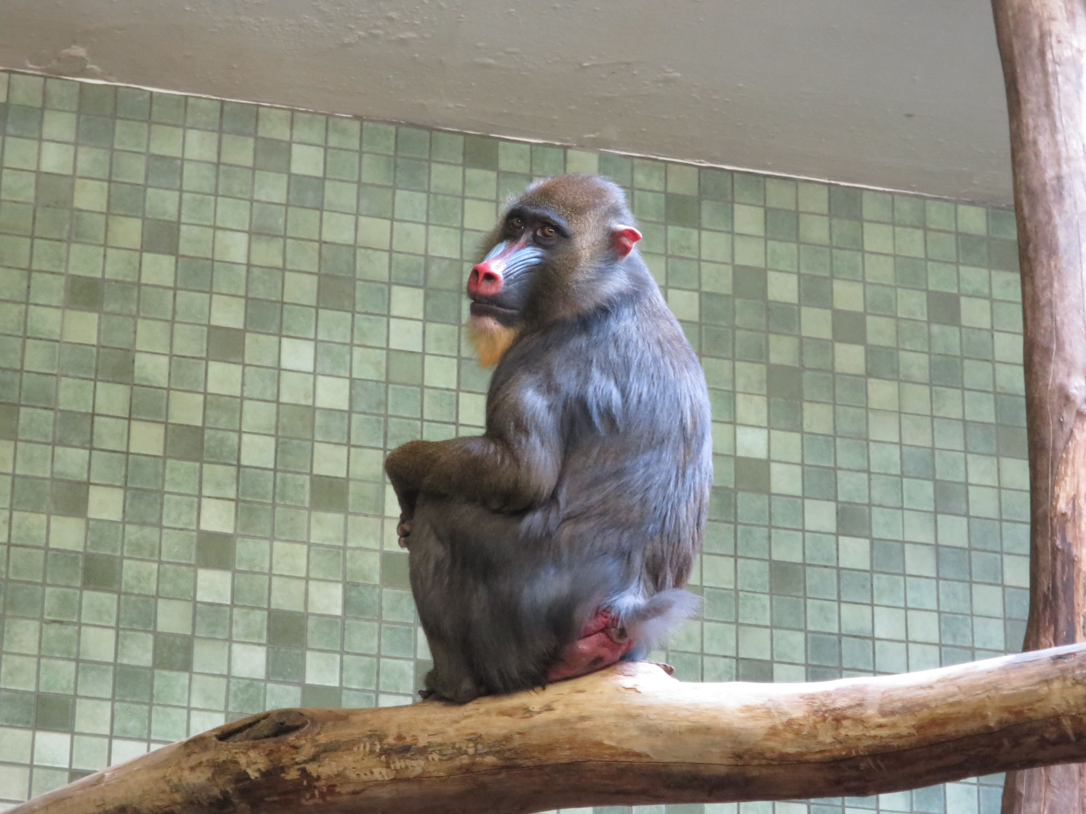 Tierpark Zoo  04